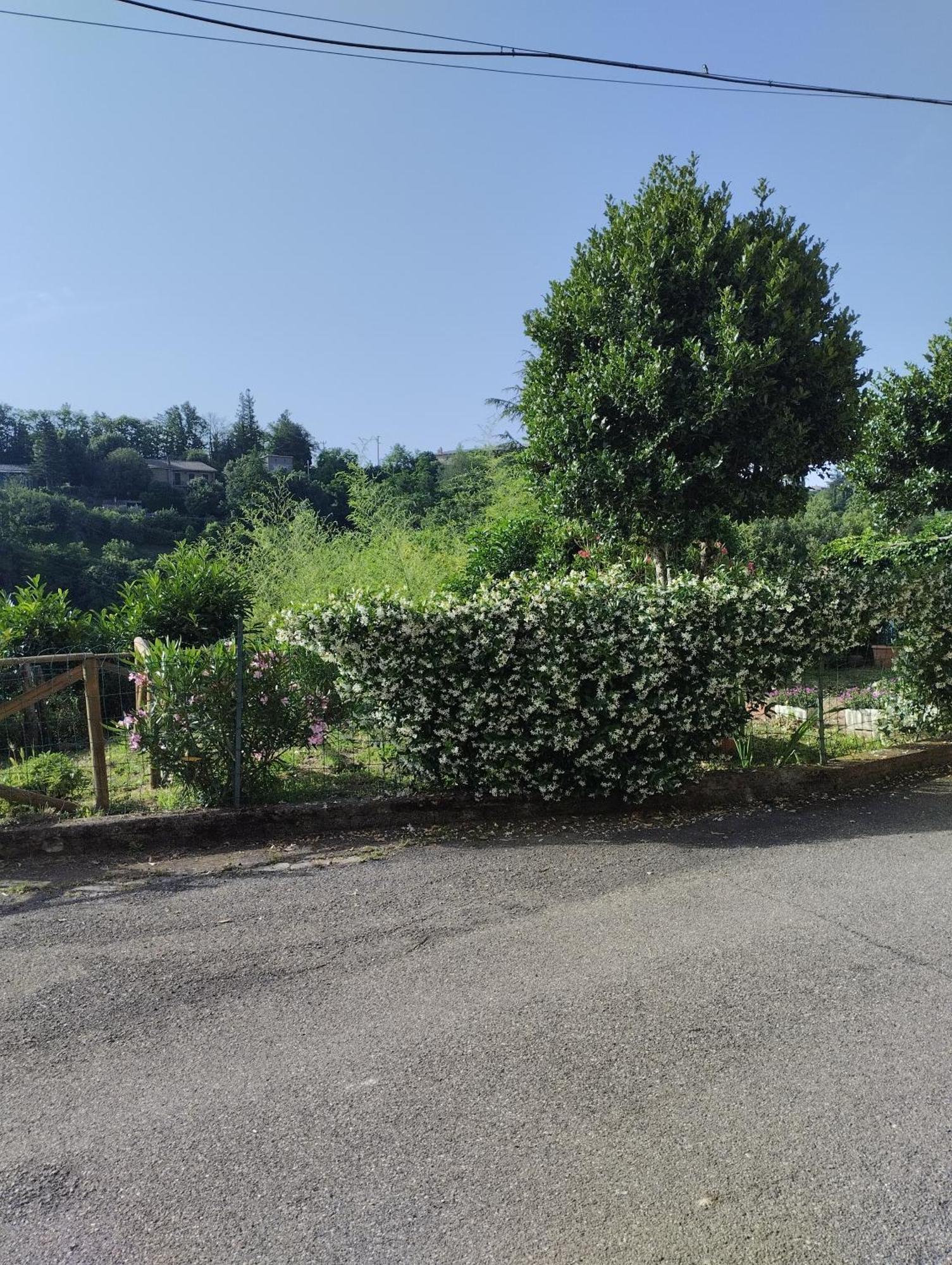 Casavacanzetorresansevero Orvieto Exteriör bild